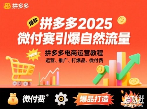 拼多多微付费引爆自然流量,拼多多电商运营教程,运营、推广、打爆品、微付费(更新26年2月)