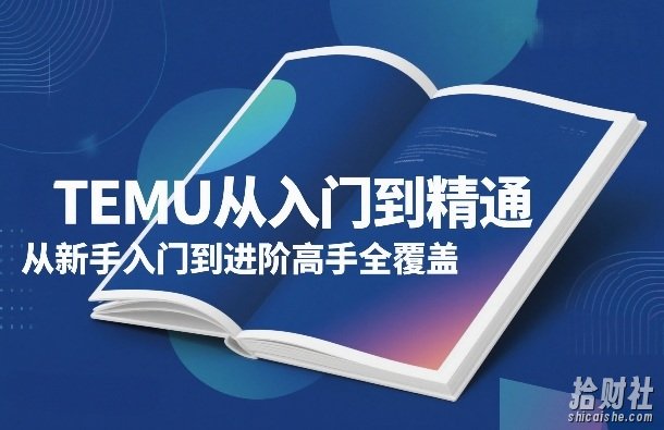 TEMU从入门到精通,从新手入门到进阶高手全覆盖