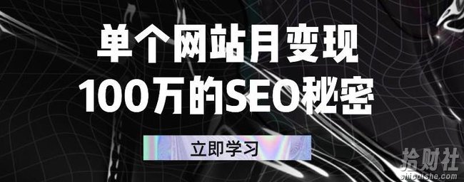 单个网站月变现100万的SEO秘密,百分百做出賺米站点