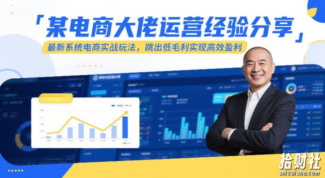 某电商大佬运营经验分享,最新系统电商实战玩法,跳出低毛利实现高效盈利(更新)