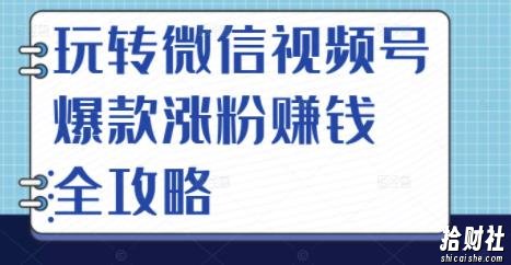 玩转微信视频号爆款涨粉賺米全攻略,让你快速抓住流量风口,收获红利财富