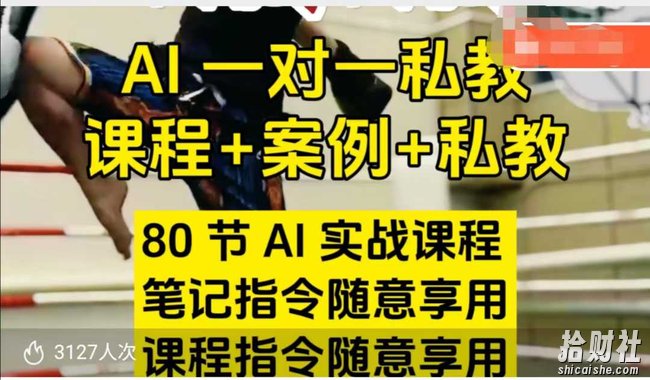 AI指令实战课,课程+案例,80节AI实战课程,笔记指令随意享用,课程指令随意享用(更新26年3月)