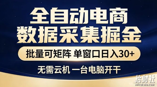 全自动电商数据集掘金,批量可矩阵,单窗口日入30+,无需云机,一台电脑开干【揭秘】