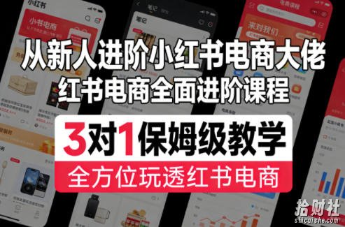 从新人进阶小红书电商大佬，红书电商全面进阶课程，3对1保姆级教学，全方位玩透红书电商