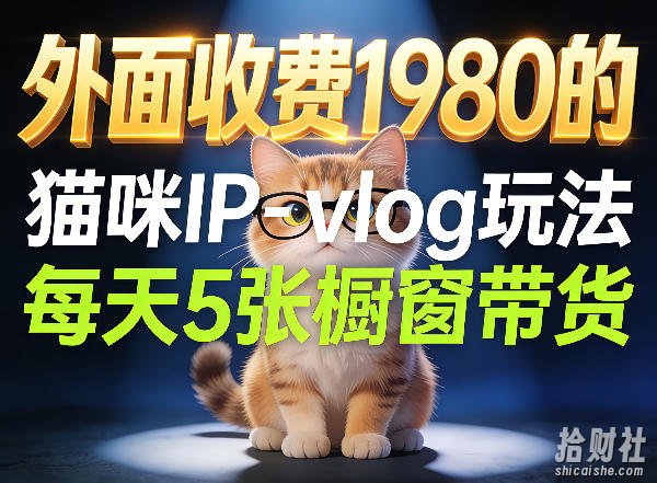 宠物赛道猫咪IP-vlog玩法，26条视频涨粉29W，每天5张橱窗带货拆解