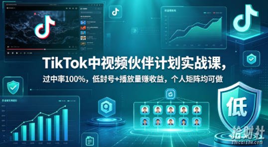 TikTok中视频伙伴计划实战课,过中率100%,低封号+播放量賺收益,个人矩阵均可做
