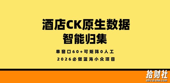 酒店CK原生数据智能归集,单窗口60+可矩阵0人工,2026必做蓝海小众项目【揭秘】