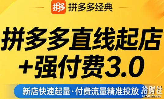 拼多多直线起店+强付费3.0,教你稳定起店、高效控投产、破解流量瓶颈(更新4月)