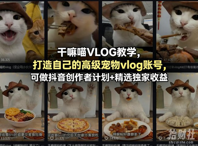 干嘛喵VLOG教学,打造自己的高级宠物vlog账号,可做抖音创作者计划+精选独家收益