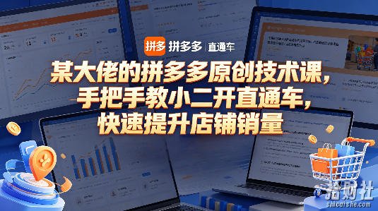 某大佬的拼多多原创技术课,手把手教小二开直通车,快速提升店铺销量
