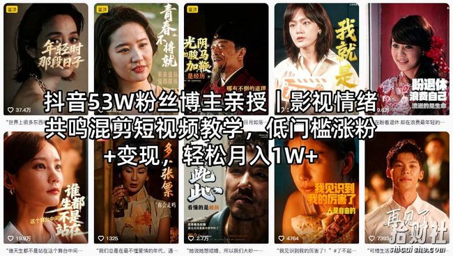抖音53W粉丝博主初代风华亲授|影视情绪共鸣混剪短视频教学,低门槛涨粉+变现,轻松月入1W+