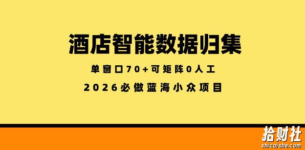 酒店智能数据归集,小众蓝海已经稳定半年之久,单窗口70+零成本矩阵开干【揭秘】