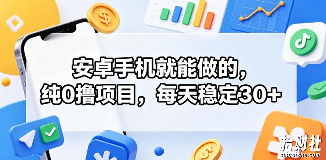 安卓手机就能做的，纯0撸项目，每天稳定30+