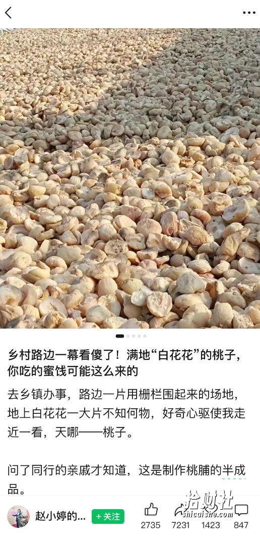 公众号小绿书贴图项目,赚收益实操玩法,听话照听话照少走90%弯路丨副业可做