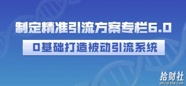 制定精准引流方案专栏6.0,0基础打造被动引流系统