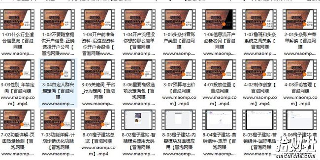 二类电商必学特训课程,超全系统化的实战干货快速入门少走弯路!