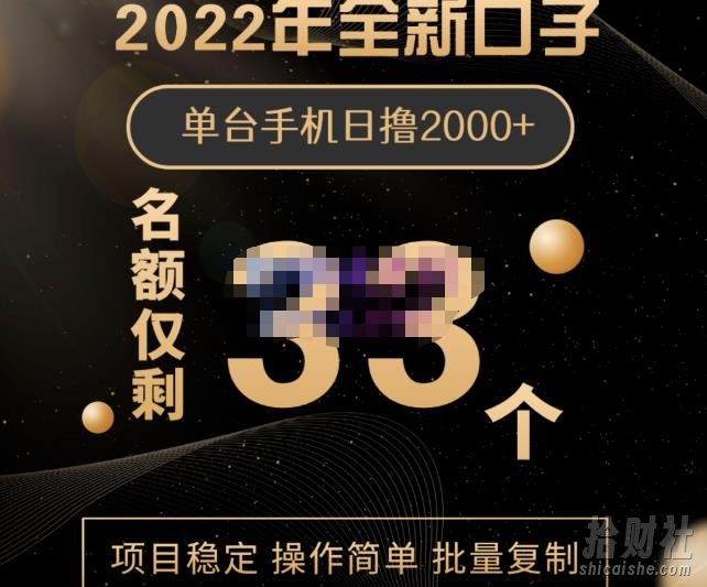 2022年全新口子，手机批量搬砖玩法，一部手机日撸2000+
