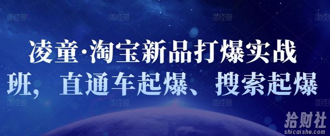 凌童·淘宝新品打爆实战班，直通车起爆、搜索起爆