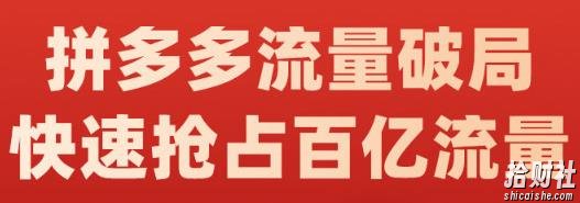 阿杰·拼多多流量破局:如何打黑标,爆款的思路,拼多多流量框架,快速抢占百亿流量