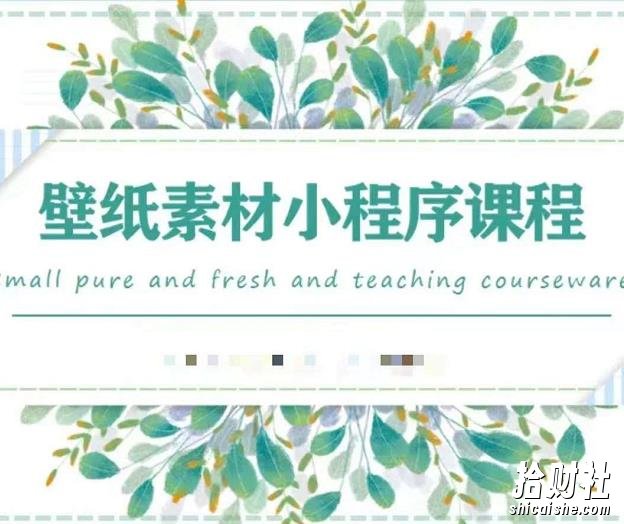 闪闪壁纸号运营教程，抓住图文风口，快速吸粉变现