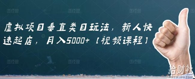 虚拟项目垂直类目玩法,新人快速起店,月入5000+【视频课程】
