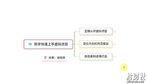 新手如何操作虚拟项目？从0打造月入上万店铺技术【视频课程】