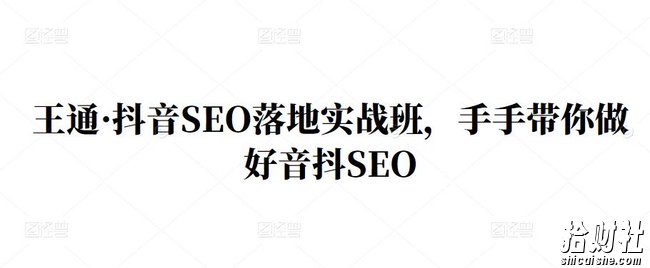 王通·抖音SEO落地实战班,手手带你做好音抖SEO