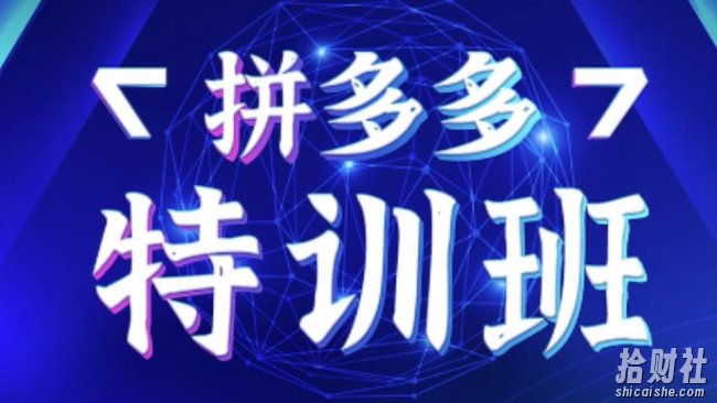 星雪教育·拼多多基础班+进阶班+突破班，用系统的学习模式快速改变现状价值3580元