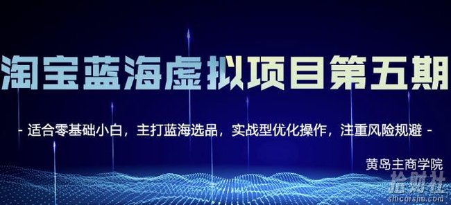 黄岛主淘宝虚拟无货源3.0+4.0+5.0,适合零基础小白,主打蓝海选品,实战型优化操作
