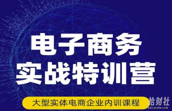 民赛电气内部出品:电子商务实战特训营,全方位带你入门电商,308种方式玩转电商