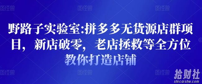 野路子实验室:拼多多无货源店群项目,新店破零,老店拯救等全方位教你打造店铺