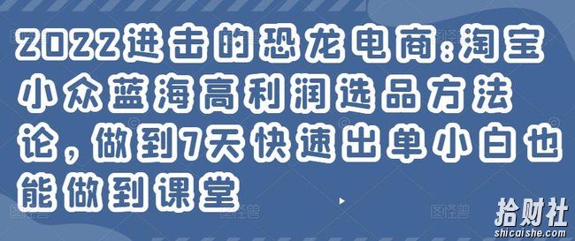 2022进击的恐龙电商:淘宝小众蓝海高利润选品方法论,做到7天快速出单小白也能做到