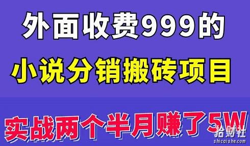 外面收费999的小说分销搬砖项目:实战两个半月赚了5W块,操作简单!