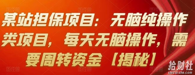 某站担保项目:无脑纯操作类项目,每天无脑操作,需要周转资金【揭秘】