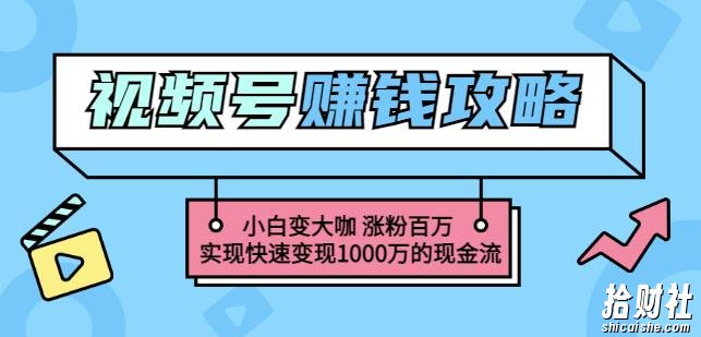 玩转微信视频号賺米：小白变大咖涨粉百万实现快速变现1000万的现金流