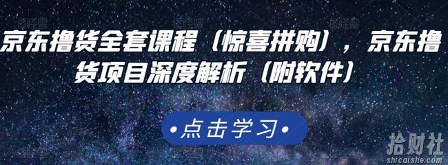 京东撸货全套课程(惊喜拼购),京东撸货项目深度解析(附软件)