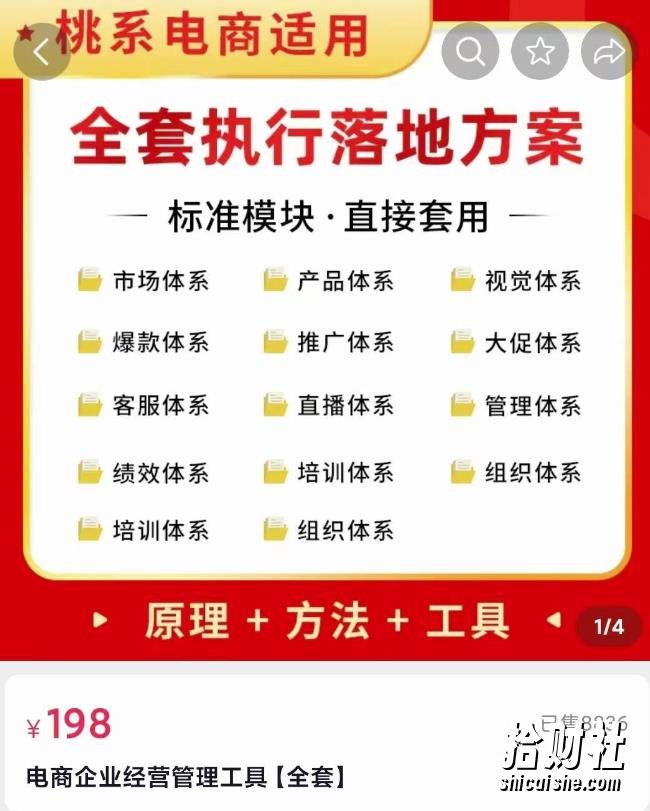 外面卖198·电商企业经营管理工具：全套执行落地方案标准模块·直接套用