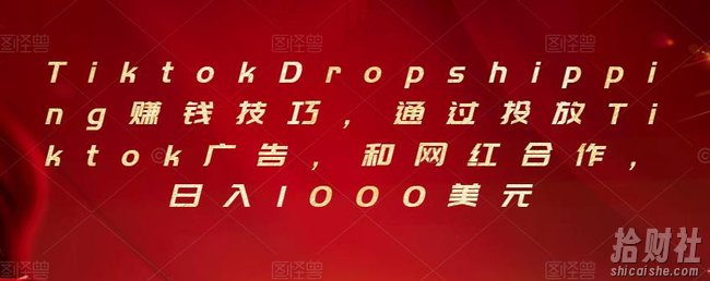 Tiktok Dropshipping賺米技巧，通过投放Tiktok广告，和网红合作，日入1000美元