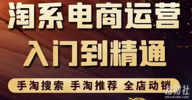 淘系电商入门到精通手淘搜索,手淘推荐,全店动销(价值1099元)