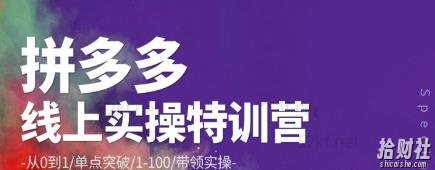 青云:拼多多运营实操特训营：从0到1/单点突破/1-100/带领实操价值2980元