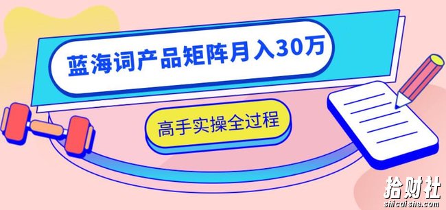 2020最新无货源店群项目,蓝海词产品矩阵月入30万,高手实操全过程(视频教程)