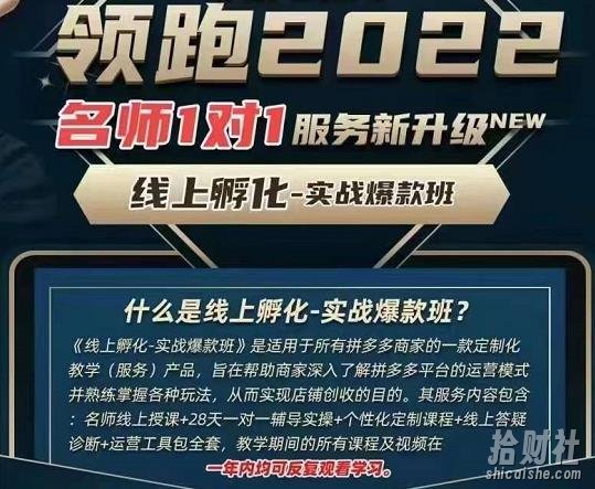 牛气学堂老陶电商【第9期】,拼多多名师线上领跑28天,线上孵化-实战爆款班