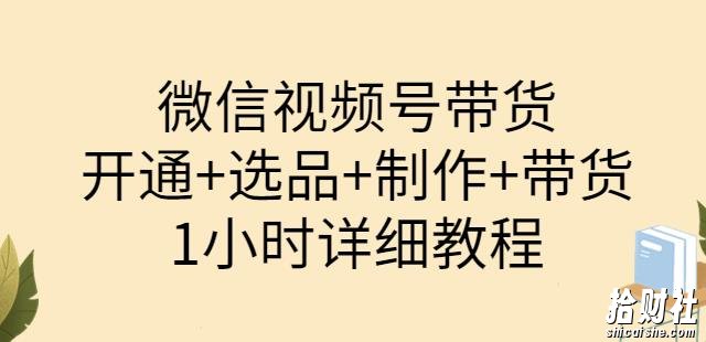 陈奶爸·微信视频号带货：开通+选品+制作+带货（1小时详细教程）