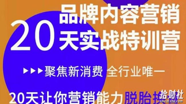 《内容营销实操特训营》20天让你营销能力脱胎换骨(价值3999)