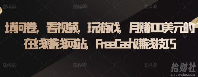 填问卷，看视频，玩游戏，月赚100美元的在线賺米网站，FreeCash賺米技巧