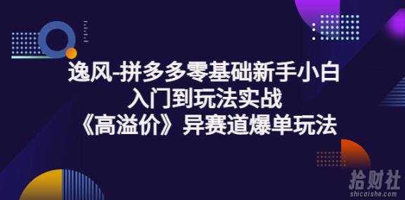 逸风-拼多多零基础新手小白入门到玩法实战《高溢价》异赛道爆单玩法实操课