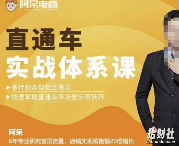 直通车实战体系课:多计划类型组合布局快速掌握直通车各场景应用技巧