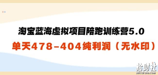 黄岛主：淘宝蓝海虚拟项目陪跑训练营5.0：单天478纯利润（无水印）