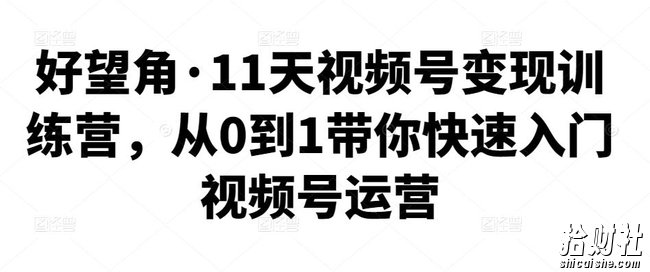 好望角·11天视频号变现训练营，从0到1带你快速入门视频号运营