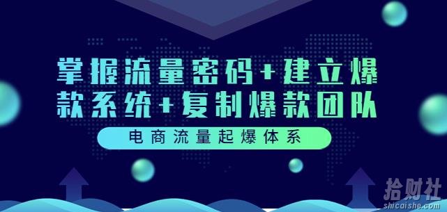 电商流量起爆体系:掌握流量密码+建立爆款系统+复制爆款团队(价值599)